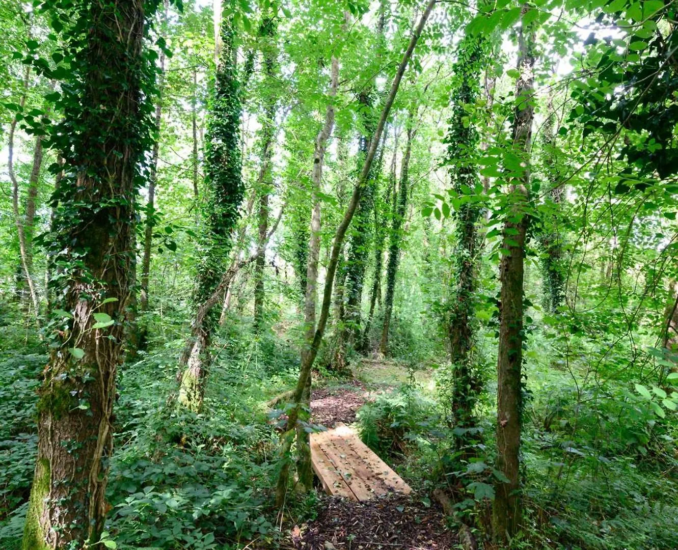Сasa de vacaciones Satori Cottage Cork